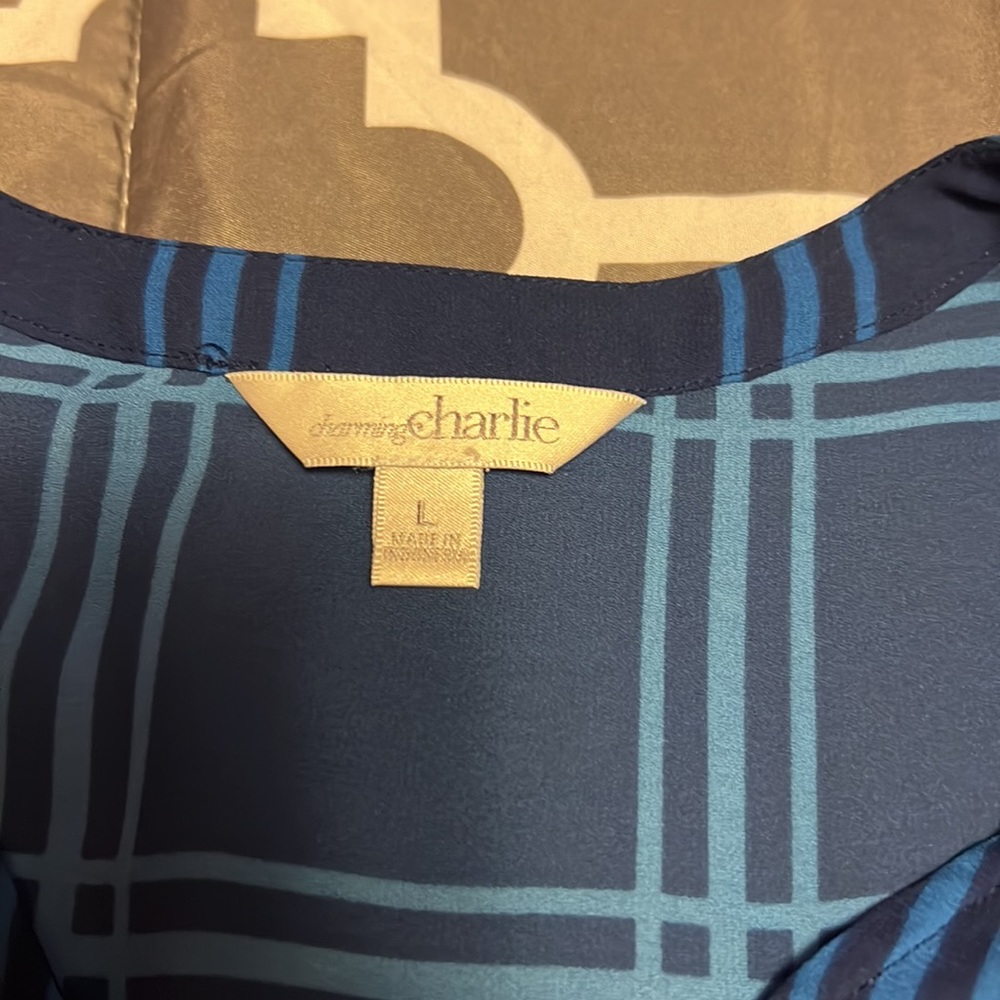 Charming Charlie’s Blue Shirt - Picture 4 of 4